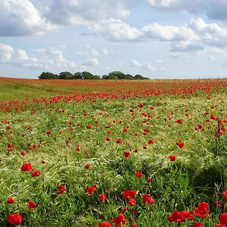 別荘 6 Person In *