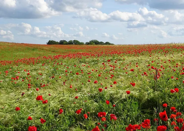 別荘 6 Person In *