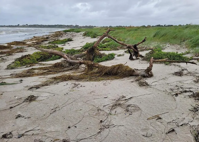 別荘 6 Person In スラーエルセ